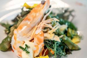 Aqua By Lexus Fish Restaurant